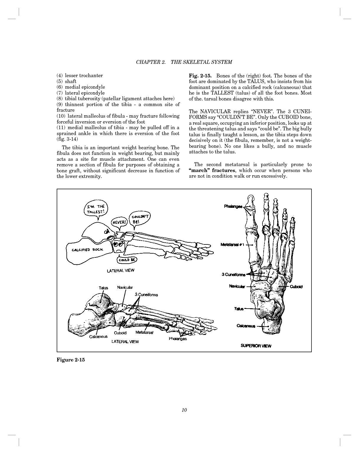 clinical anatomy made ridiculously simple pdf